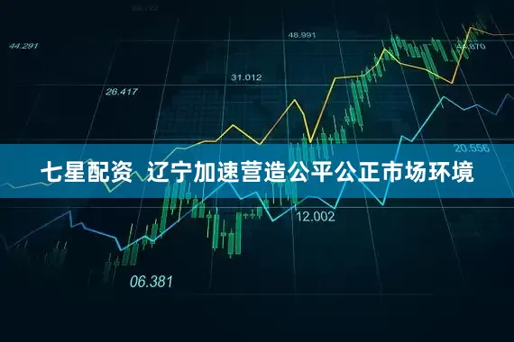 七星配资  辽宁加速营造公平公正市场环境